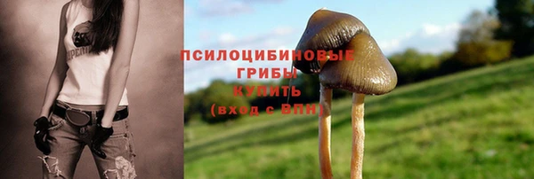 таблы Корсаков