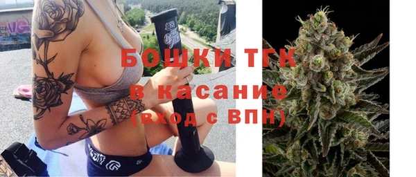 стаф Костерёво
