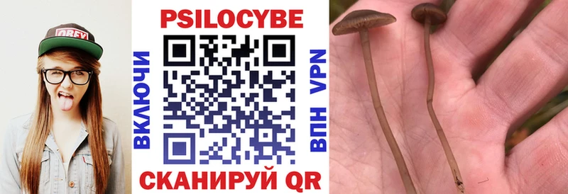 Галлюциногенные грибы мицелий  Купить  Донской 